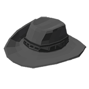 Stylish Cowboy Hat