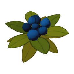 Berries, Blue