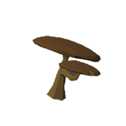 Flathead Mushroom