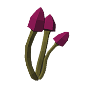 Pixie Cap Mushroom