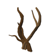 Roots