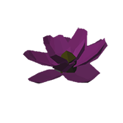 Water Lillies